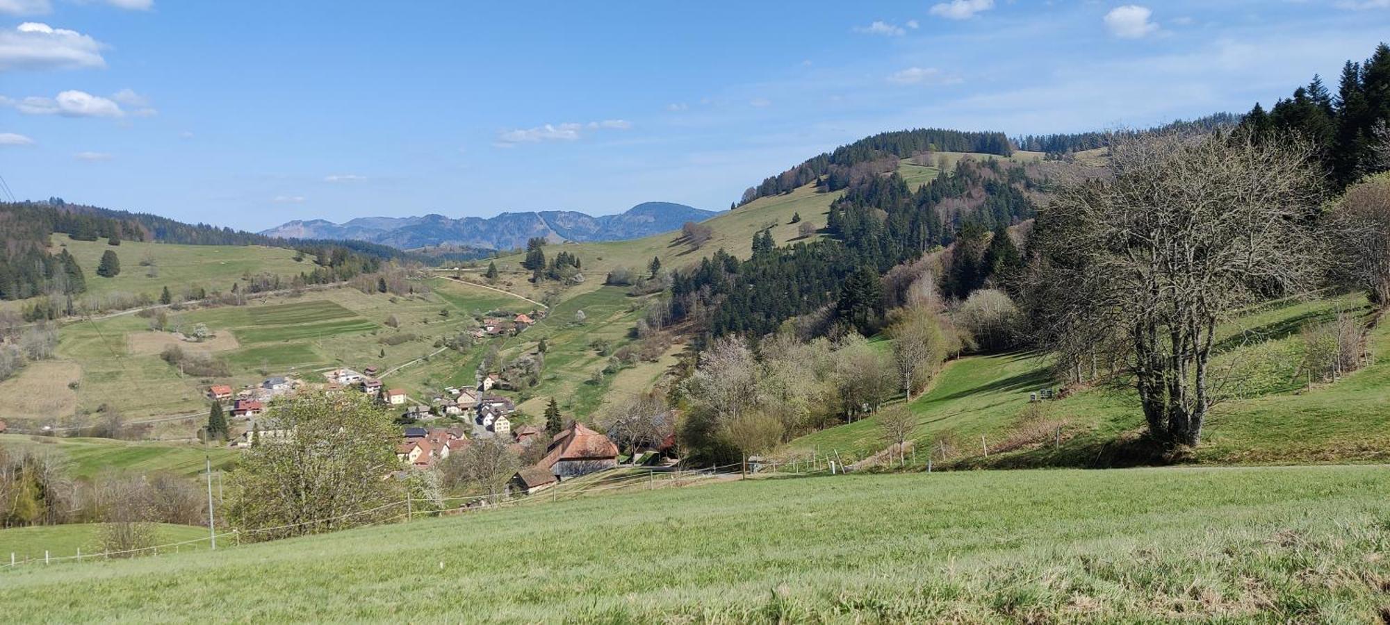 Ferienwohnung Nani Kleines Wiesental Eksteriør bilde